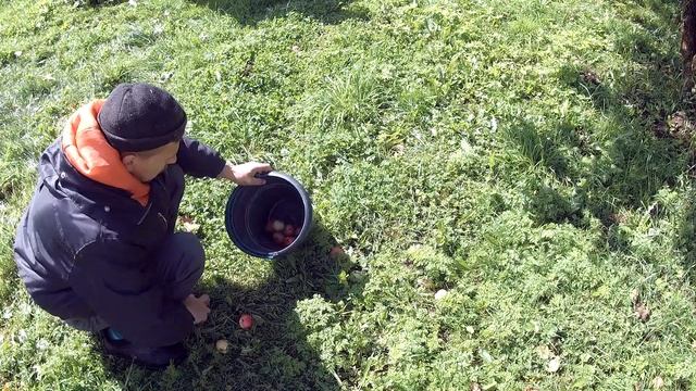 УТРОМ в ХОЗЯЙСТВЕ за 15 МИНУТ // ХОЗЯЙСТВО в ДЕРЕВНЕ смотреть онлайн