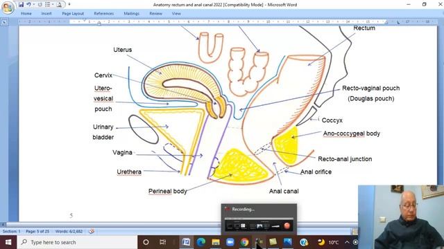 Anatomy GIT Module in English ( Rectum , part 1) , by Dr, Wahdan смотреть онлайн