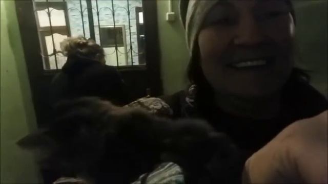 Пристраивается Джесика Девочка 1.5 года. Продолжение следует смотреть онлайн