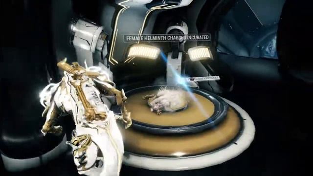 Helminth Charger Kubrow is too adorable - Warframe смотреть онлайн