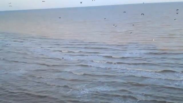 Такие бакланы смотреть онлайн