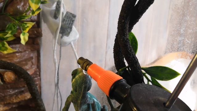 КАК ХАМЕЛЕОН ПЬЁТ ВОДУ смотреть онлайн