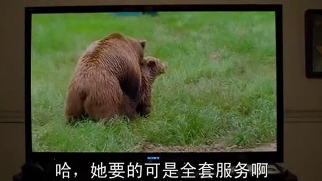 как проходит мальчишник смотреть онлайн