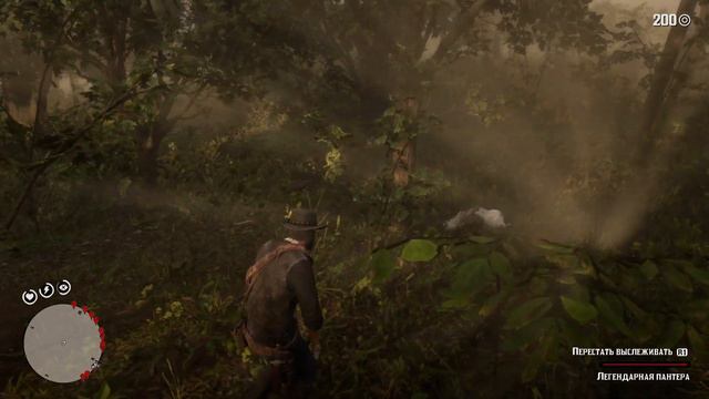Red Dead Redemption 2 пантера смотреть онлайн
