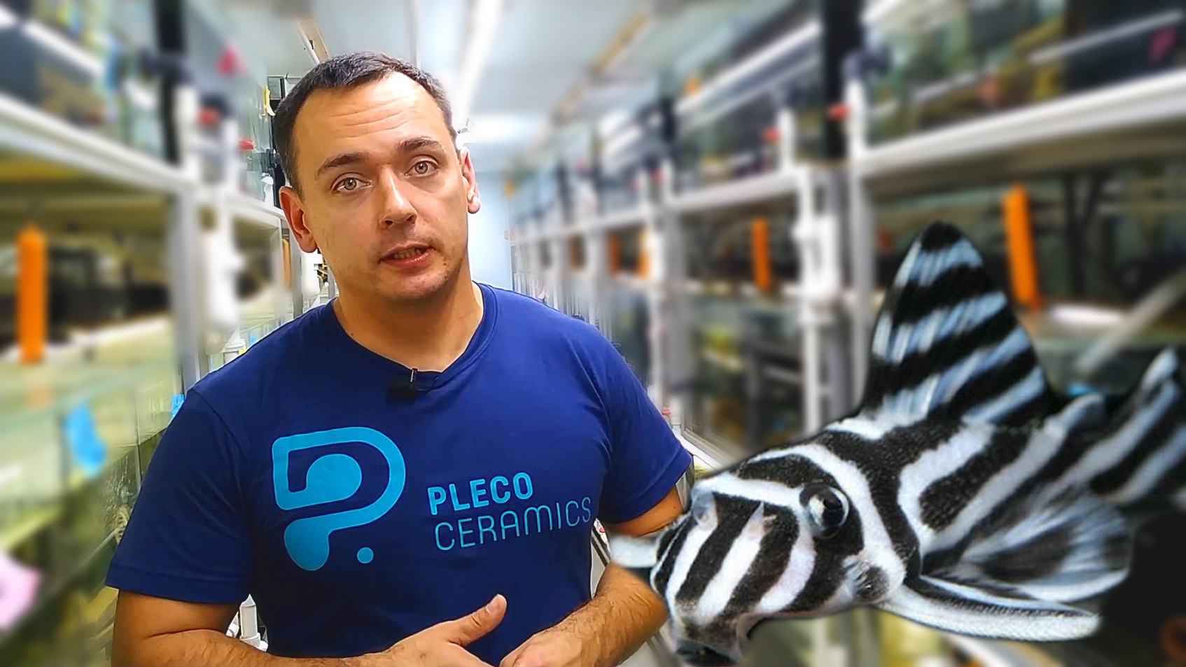 Единственная в Украине Ферма Эль Сомов! смотреть онлайн