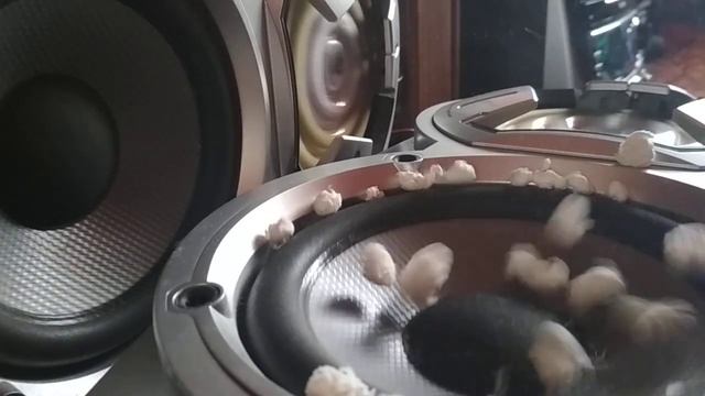 Что с соседями от громкой музыки смотреть онлайн