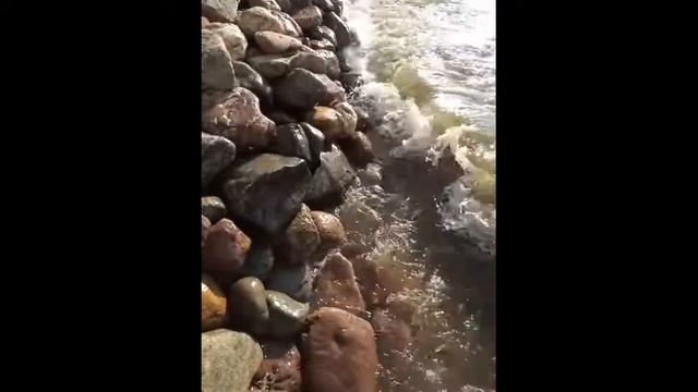 Берегоукрепление природным камнем I Строительство I Ландшафт I Укрепление берега смотреть онлайн