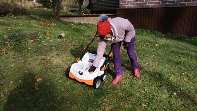 Что сделал с моим газоном скарификатор  DAEWOO