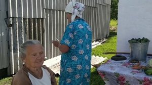 Украинское село. КАК МАРИЯ СЕМЕНОВНА КВАСИТ ОГУРЦЫ НА ЗИМУ.