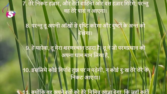 Hindi Audio Bible | भजन संहिता - 91 | Psalm - 91 | The Holy Bible | Bible Reading смотреть онлайн