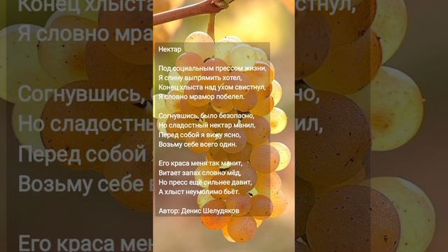 Нектар #поэт21века #поэзия21века #поэт #стих смотреть онлайн