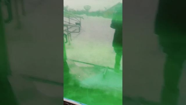 мы в зоопарке смотрим на животных! моржи! смотреть онлайн