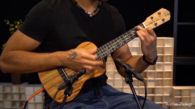Elite Series Concert Size Ukulele by Ortega Guitars - Solid Spalted Maple Top - RUET-SMA смотреть онлайн