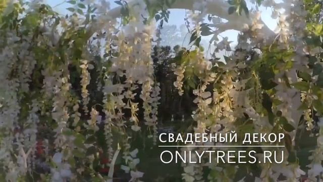 Свадебная арка для свадьбы в "Морозовке" смотреть онлайн