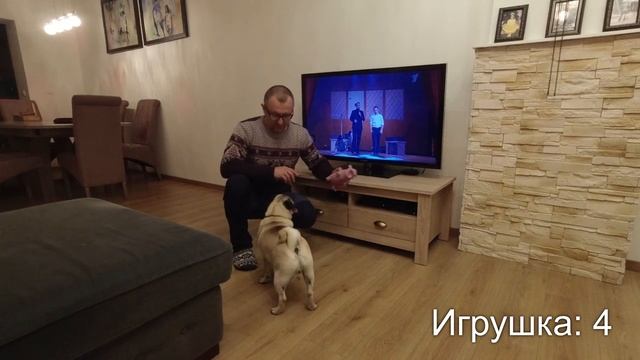 7 Игрушек, из них две ВЕЛИКОЛЕПНЫЕ. Собака в восторге! ЧТО ВЫБРАТЬ? Щенок МОПС. смотреть онлайн