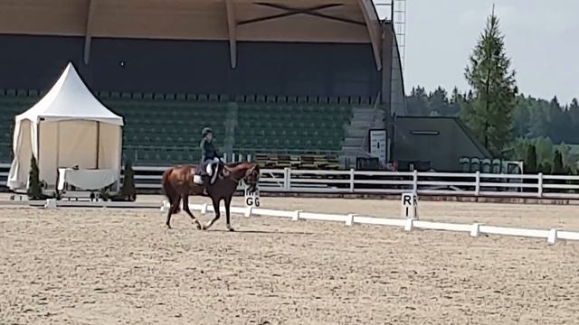 YR Individual Test CDI Harmony Park || Damon's Delight смотреть онлайн