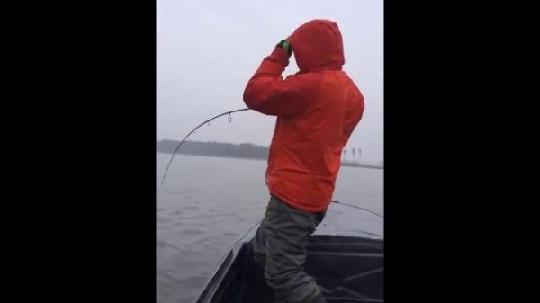 Kilka by + St Croix Les 86MHF2 Священный монстр 2