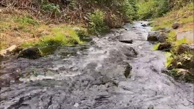 Весенний ручей. Шум воды. Ручей в лесу. Звуки природы смотреть онлайн