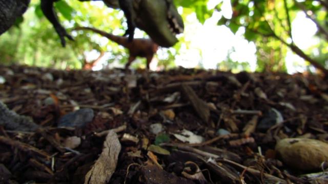 Dinosaur Island S5 EP4 "Tarred and Feathered" смотреть онлайн