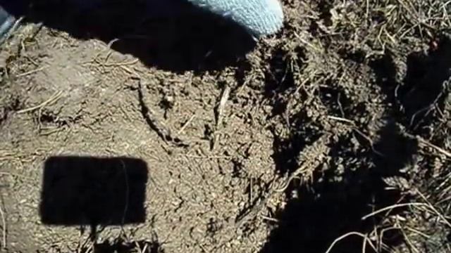 Коп Чермета с металлоискателем md-4030 на колхозных полях СССР. Добиваю остатки. смотреть онлайн