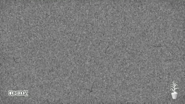 ПАВЛИК 1 сезон 8 серия