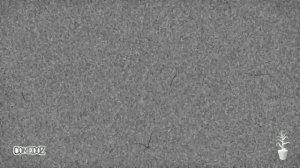 ПАВЛИК 1 сезон 8 серия