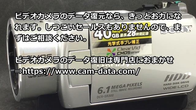 SONY Handycam DCR-SR300 電源が入らない