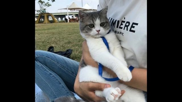 TIN - Ticking [1 HOUR EDITION]