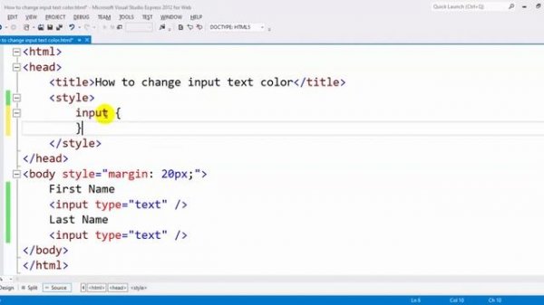 How to change input text color in css
