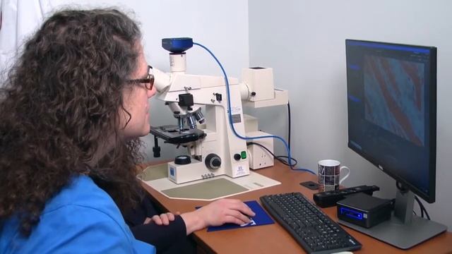 Master of Histopathology at RowanGSBS смотреть онлайн