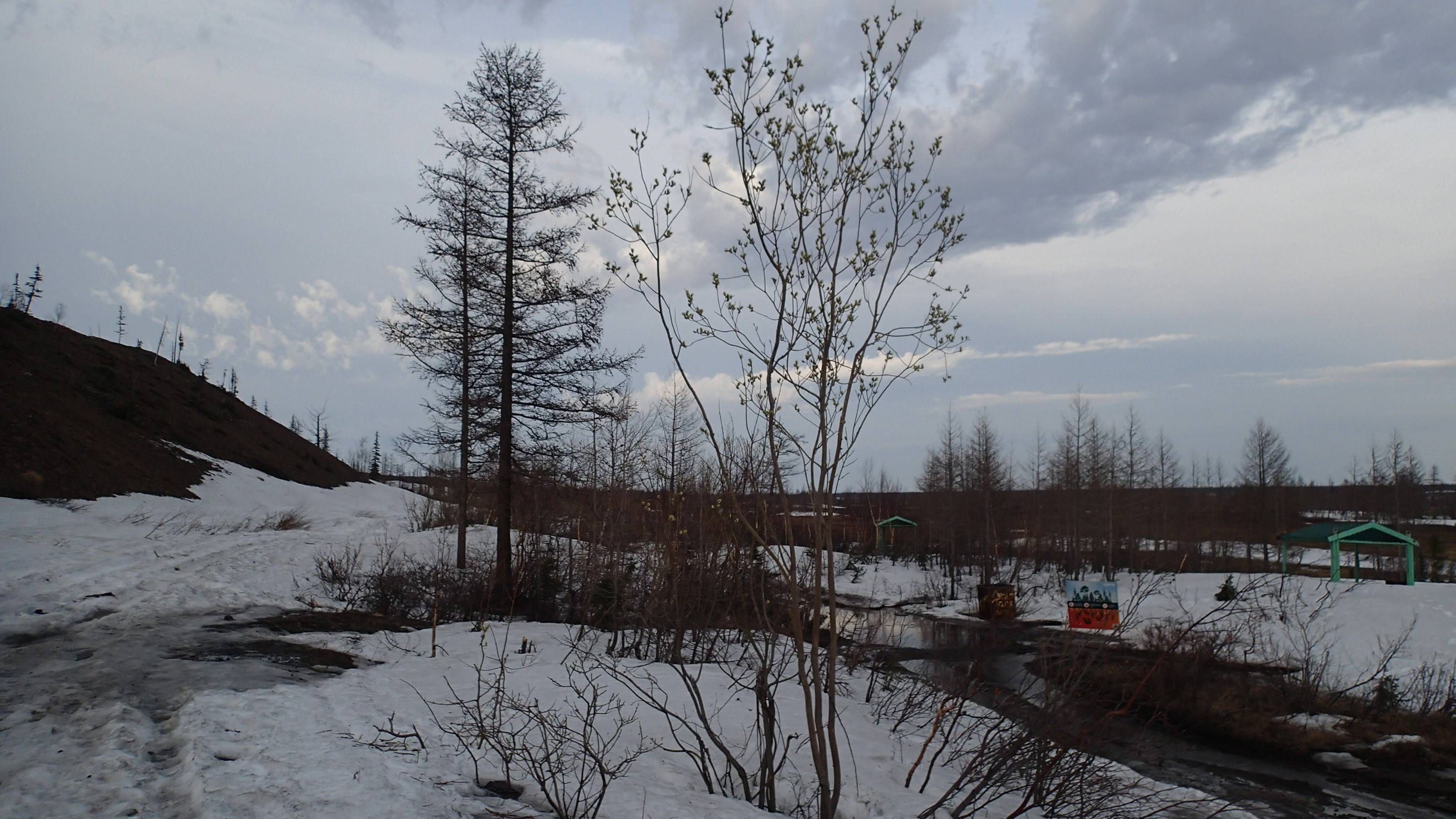 2024.06.11. Норильск. От базы отдыха Чайка, до дороги к Красным Камням. смотреть онлайн