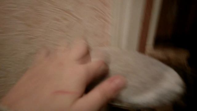 Самодельный дом для кошки или кота смотреть онлайн