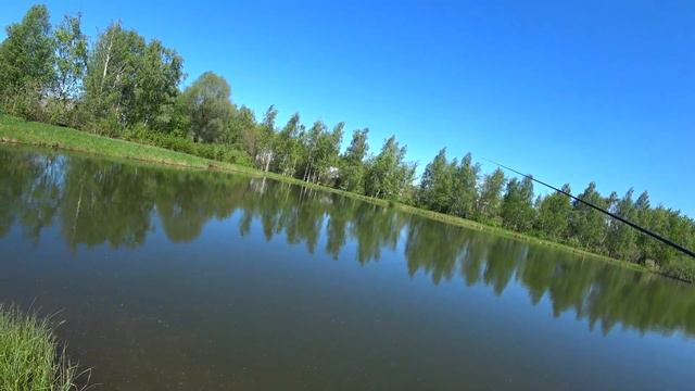 На рыбалку, Костюм пчеловода смотреть онлайн