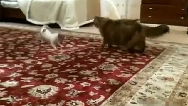 Микропёс и максикот смотреть онлайн