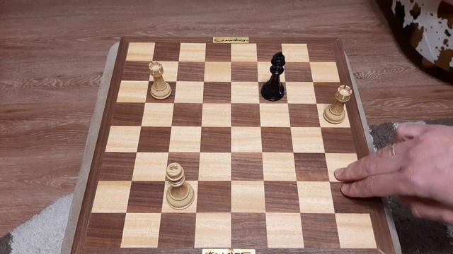 Шахматы. Мат Ладьями одинокому Королю. Простое объяснение. смотреть онлайн