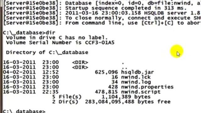 Using HyperSQL database смотреть онлайн