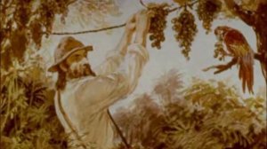 Робинзон Крузо. 11 глава. Краткое содержание