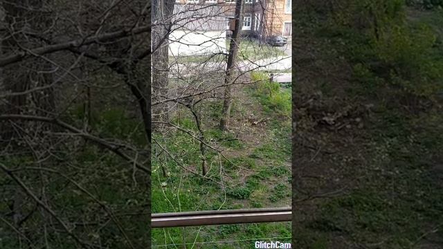 #декоративный пруд своими руками из покрышки,декор сада,у нас тоже карантин ? смотреть онлайн