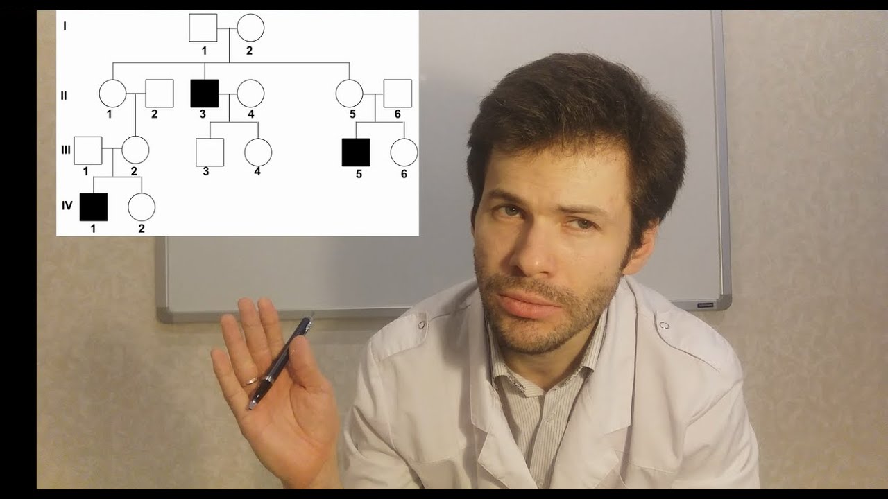 Составление и анализ родословных. Типы наследования.mp4 смотреть онлайн