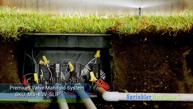 MS-4DV-SLIP смотреть онлайн