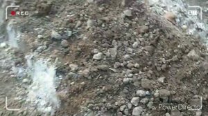 Сажаем чеснок Рокамболь детками.Тонкости посадки