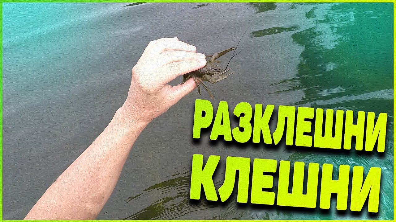Влог 1. РАЗКЛЕШНИ КЛЕШНИ!!! смотреть онлайн