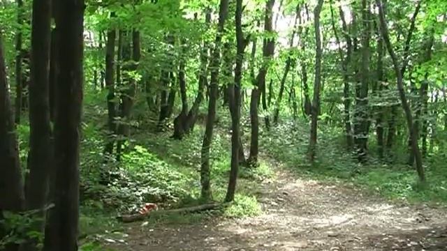 Буцефал смотреть онлайн