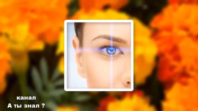 Оказывается БАРХАТЦЫ применяла не правильно ! Вот как надо применять БАРХАТЦЫ . смотреть онлайн