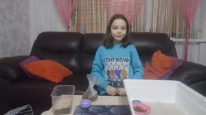 Африканский ежик - Домашний ежик