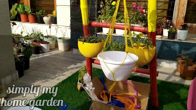 Summer Seed Germination Update + Caladium Bulbs And  Hanging Baskets Shopping