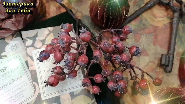 Эти вещи должны быть на каждой кухне для достатка. Как привлечь изобилие в дом смотреть онлайн