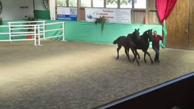 Danciano - Samba Hit (Dante, Maasdorff) Teil 1 смотреть онлайн