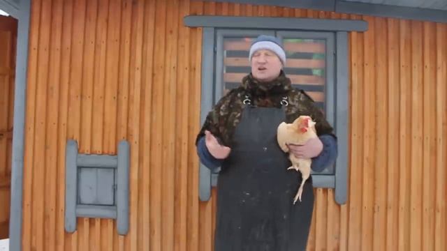 КИРПИЧ ДЛЯ КУР, смотреть онлайн