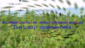 Проект Китай для начальной школы  (школа 712)